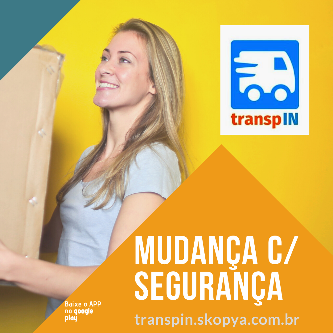 cropped-transpin-mudanca-com-seguranca.png